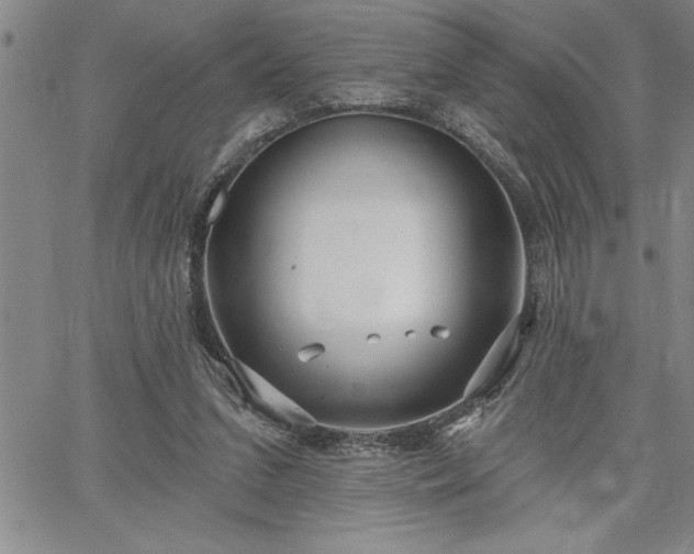 X0000064720207200602171624