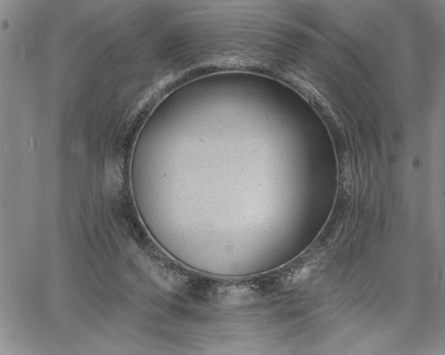 X0000064720208200602171624