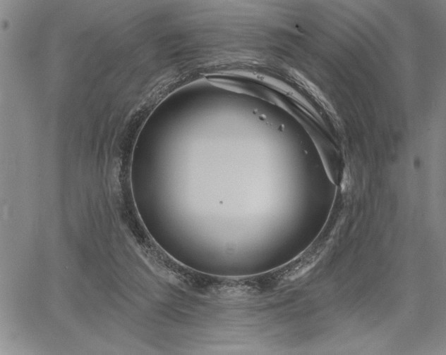 X0000064720209200602171624