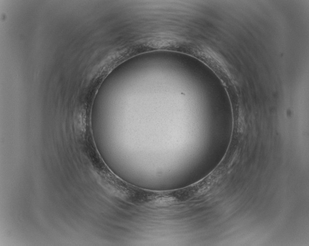 X0000064720210200602171624