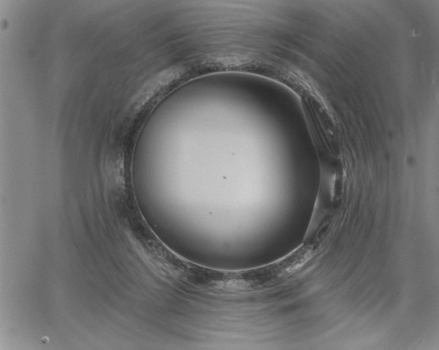 X0000064720212200602171624