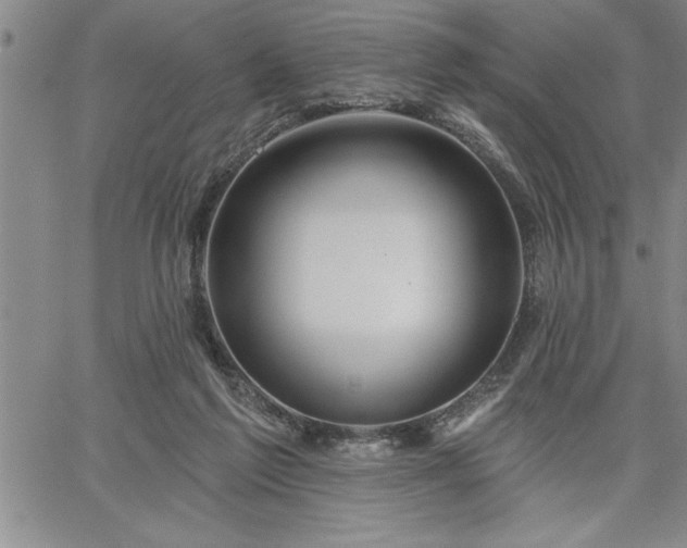 X0000064720213200602171624