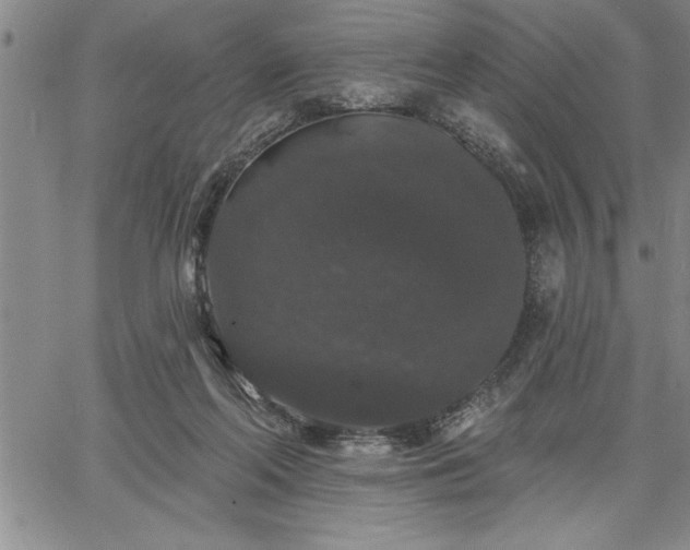 X0000064720214200602171624