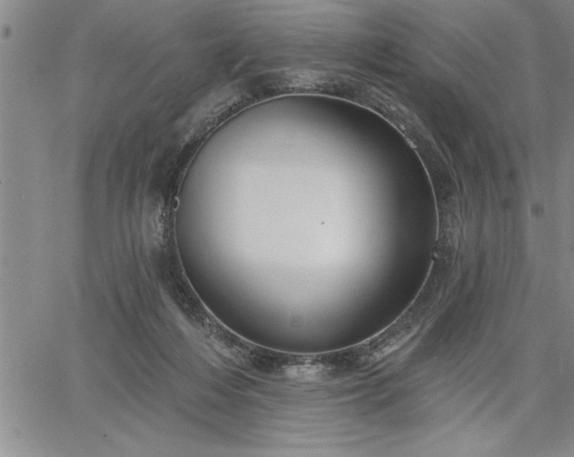 X0000064720216200602171624