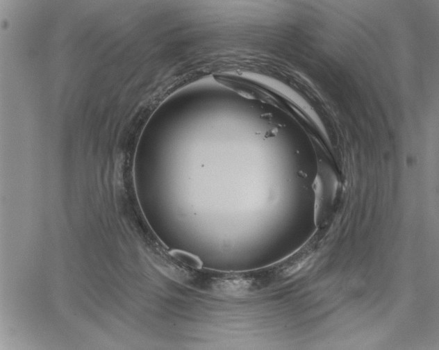 X0000064720217200602171624