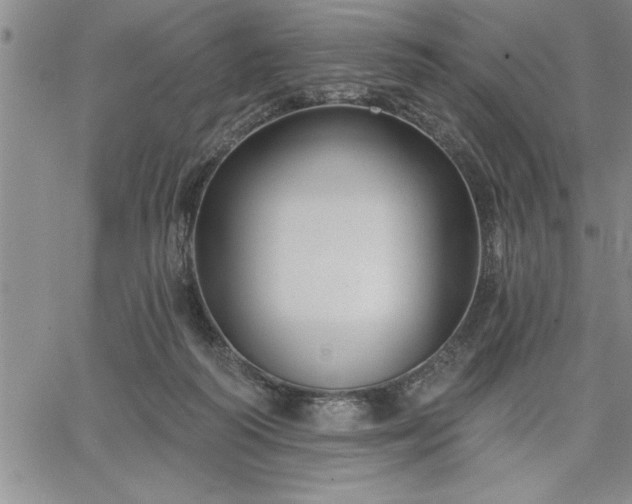 X0000064720218200602171624