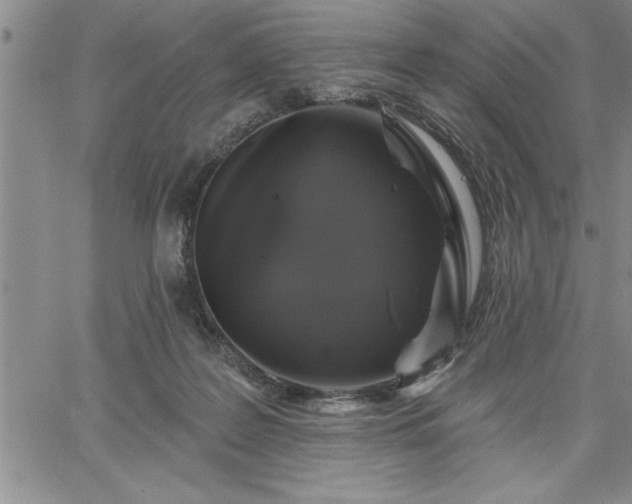 X0000064720219200602171624