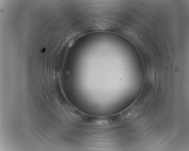 X0000064720220200602171624