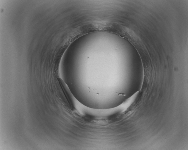 X0000064720221200602171624