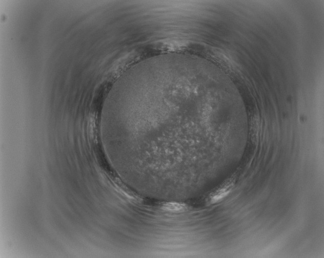 X0000064720222200602171624