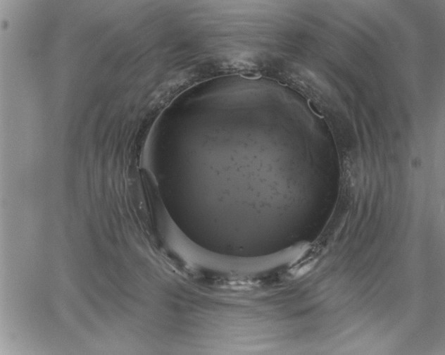 X0000064720223200602171624