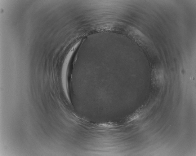 X0000064720224200602171624