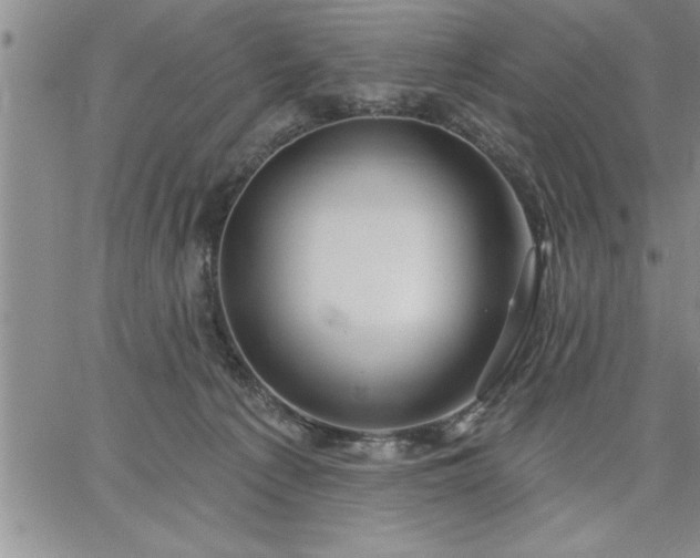 X0000064720225200602171624