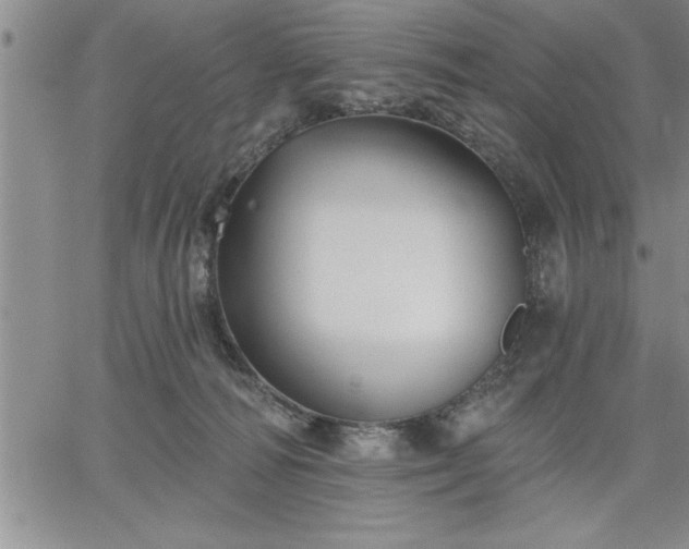 X0000064720226200602171624