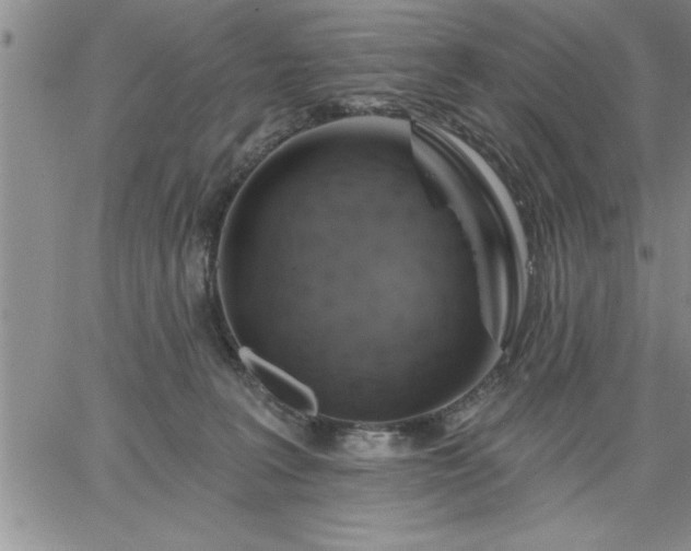 X0000064720227200602171624