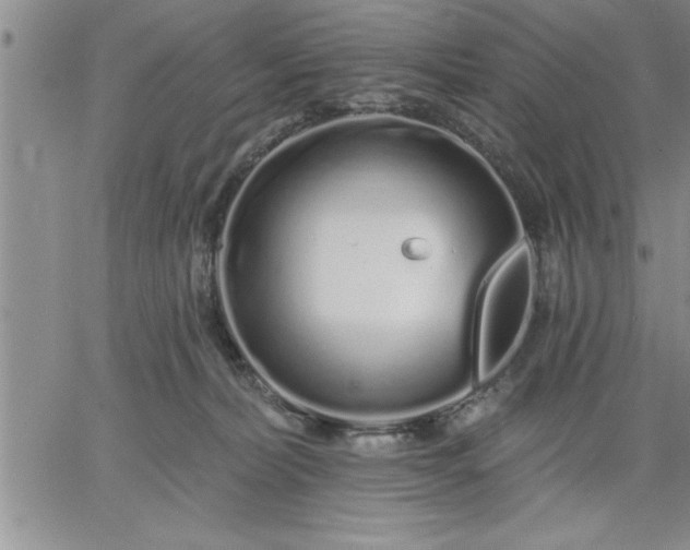 X0000064720228200602171624