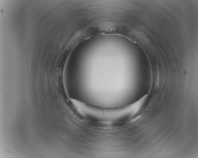 X0000064720229200602171624