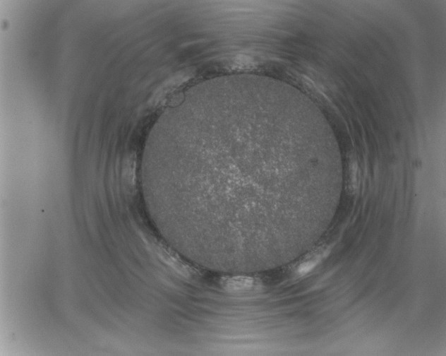 X0000064720230200602171624