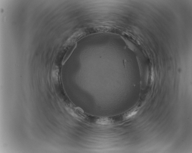 X0000064720231200602171624