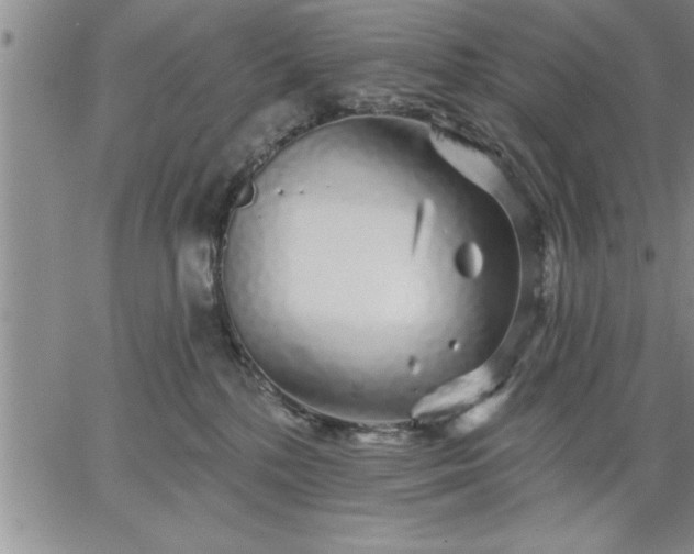 X0000064720232200602171624