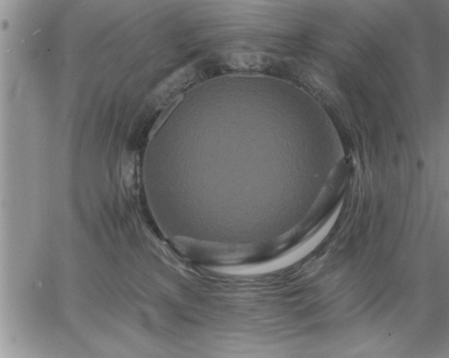 X0000064720233200602171624