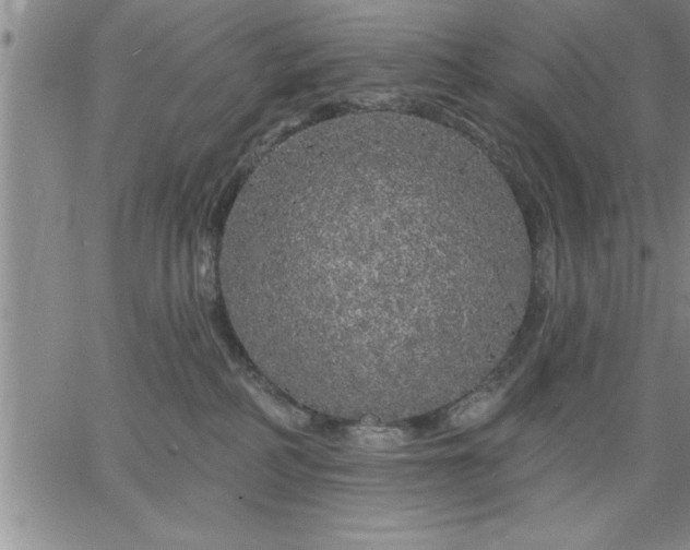 X0000064720234200602171624