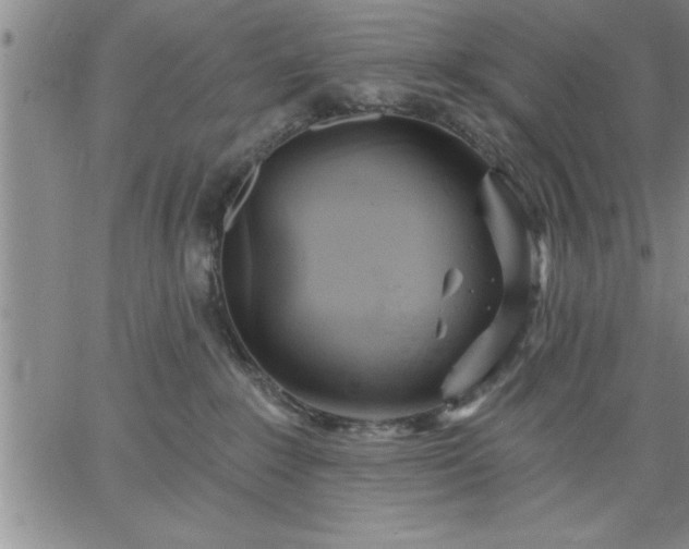 X0000064720235200602171624