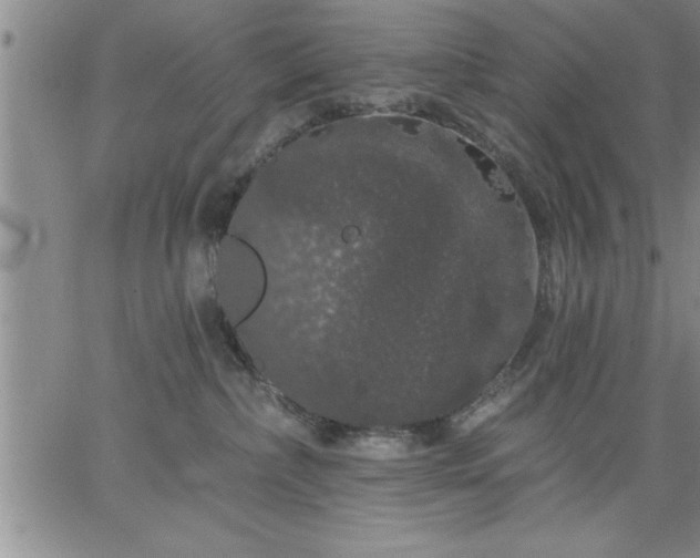 X0000064720236200602171624