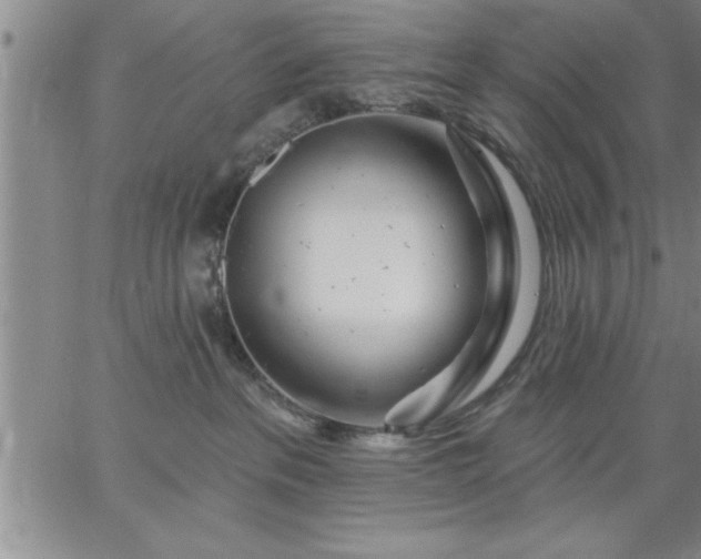 X0000064720237200602171624