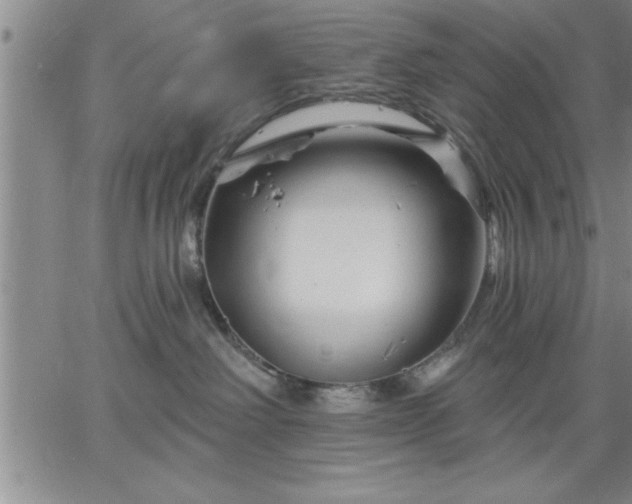 X0000064720238200602171624