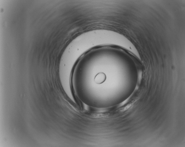 X0000064720239200602171624