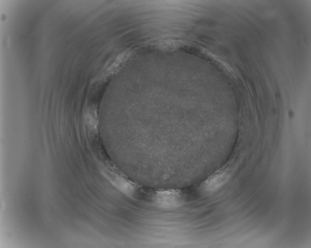 X0000064720240200602171624