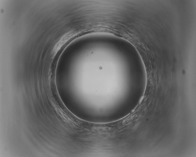 X0000064720242200602171623