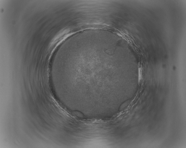 X0000064720243200602171623