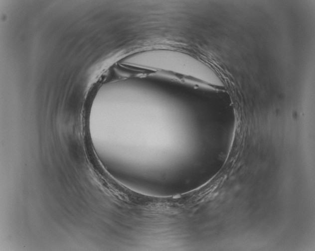 X0000064720244200602171623