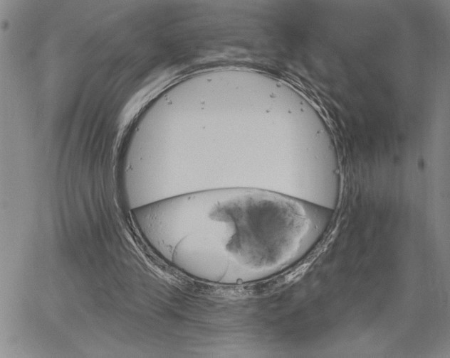 X0000064720245200602171623