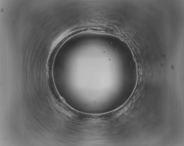 X0000064720246200602171623