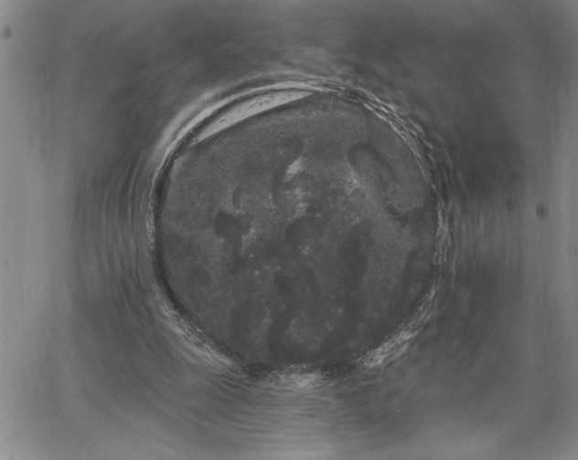 X0000064720247200602171623