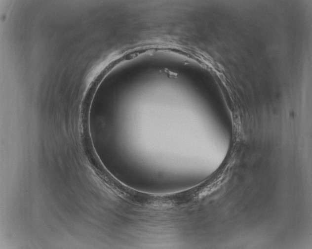 X0000064720248200602171623