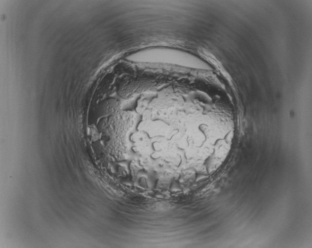 X0000064720249200602171623