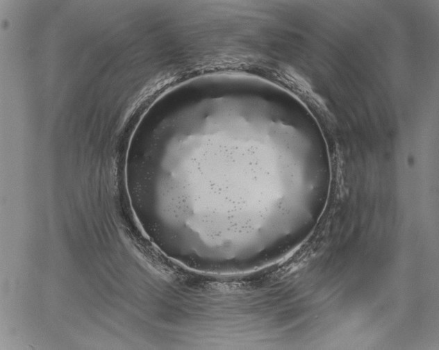 X0000064720250200602171623