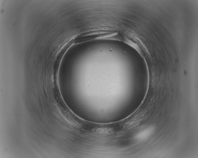 X0000064720251200602171623