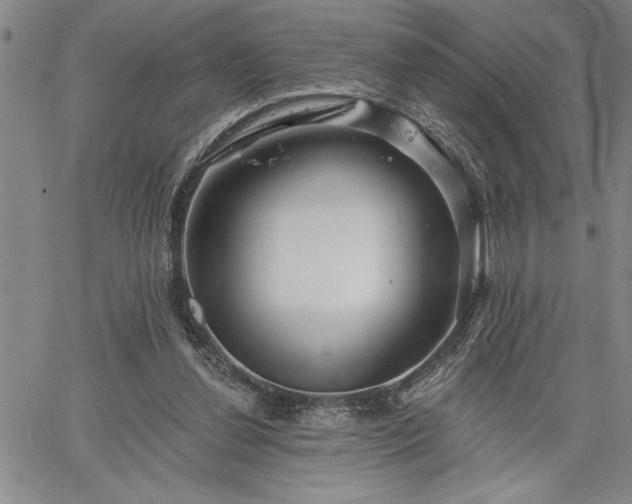 X0000064720252200602171623