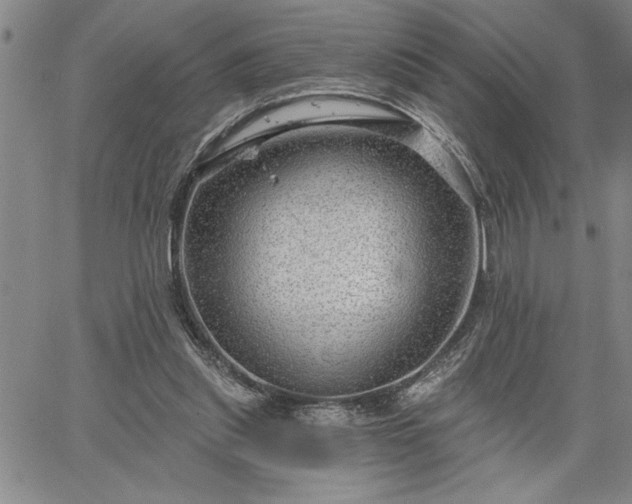 X0000064720253200602171623