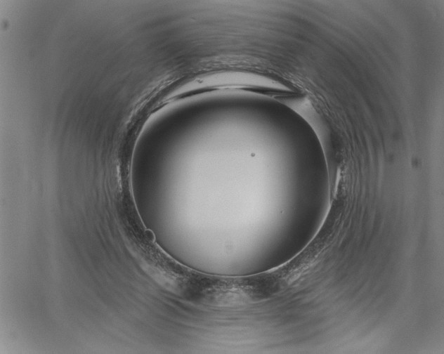 X0000064720254200602171623