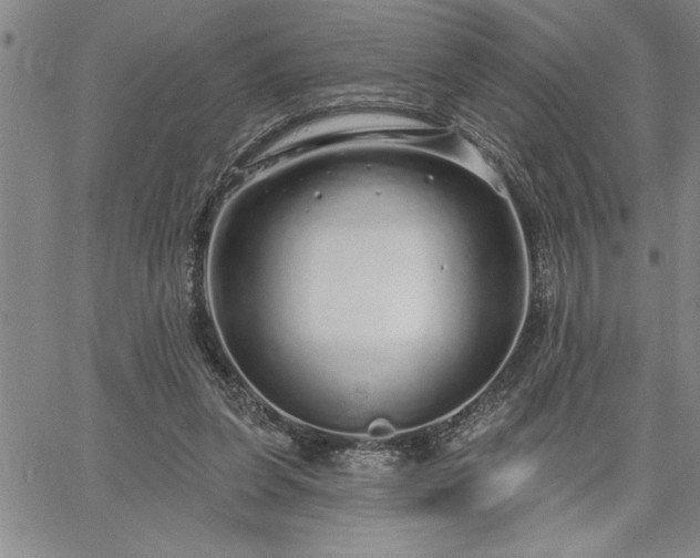 X0000064720255200602171623