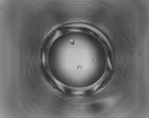 X0000064720256200602171623