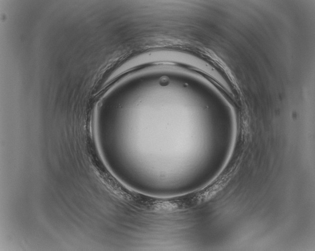 X0000064720257200602171623