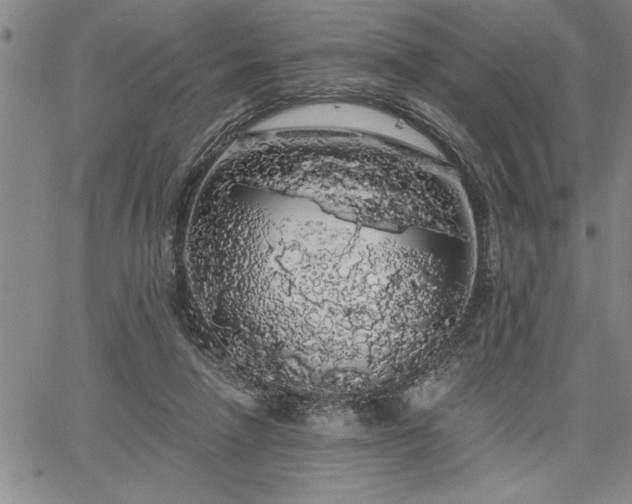 X0000064720258200602171623