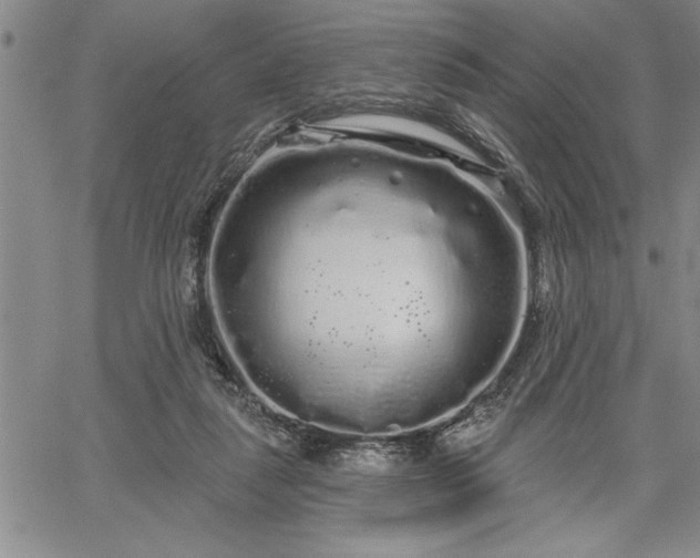 X0000064720259200602171623